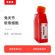 兔关节软骨细胞