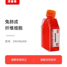 兔肺成纤维细胞