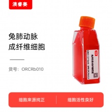 兔肺动脉成纤维细胞