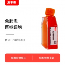 兔肺泡巨噬细胞