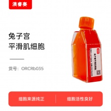 兔子宫平滑肌细胞