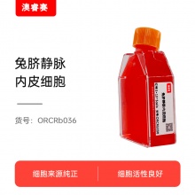 兔脐静脉内皮细胞