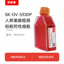 SK-OV-3/DDP（人卵巢腺癌顺铂耐药性细胞）