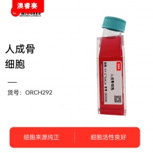 人成骨细胞