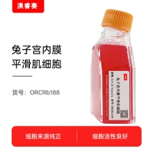 兔子宫内膜平滑肌细胞