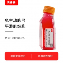 兔主动脉弓平滑肌细胞