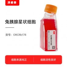 兔胰腺星状细胞