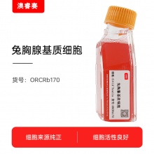 兔胸腺基质细胞