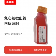 兔心脏微血管内皮细胞