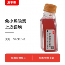 兔小肠隐窝上皮细胞