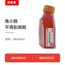 兔小肠平滑肌细胞