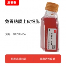 兔胃粘膜上皮细胞