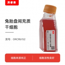兔胎盘间充质干细胞