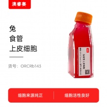 兔食管上皮细胞