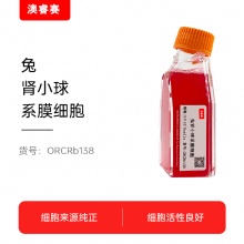 兔肾小球系膜细胞