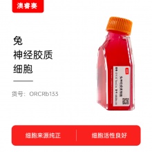 兔神经胶质细胞