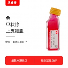 兔甲状腺上皮细胞