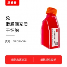 兔滑膜间充质干细胞