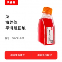 兔海绵体平滑肌细胞