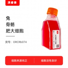 兔骨髓肥大细胞