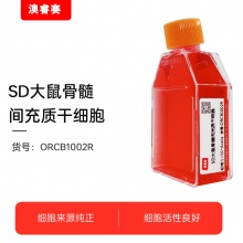 SD大鼠骨髓间充质干细胞