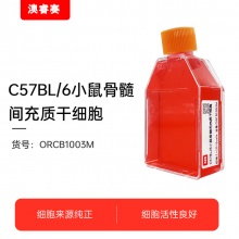 C57BL/6小鼠骨髓间充质干细胞