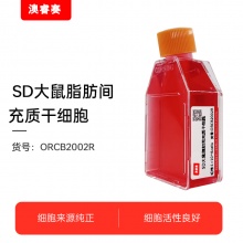 SD大鼠脂肪间充质干细胞