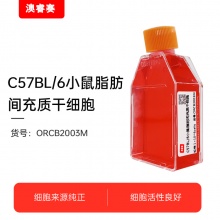 C57BL/6小鼠脂肪间充质干细胞