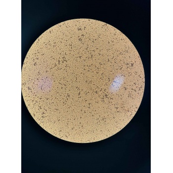 DC2.4 小鼠树突状细胞