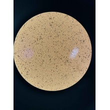 DC2.4 小鼠树突状细胞