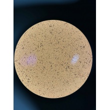 DC2.4 小鼠树突状细胞