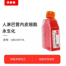 人淋巴管内皮细胞永生化