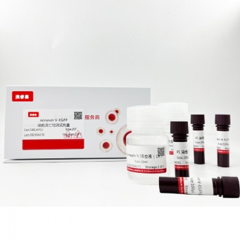 Annexin V-EGFP / PI 双染细胞凋亡检测试剂盒