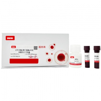 正常细胞、凋亡细胞与坏死细胞检测试剂盒