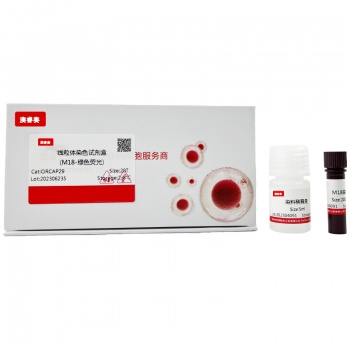 线粒体染色试剂盒-绿色荧光