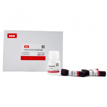 Hoechst33342/PI双染试剂盒