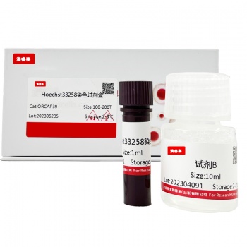 Hoechst33258染色试剂盒