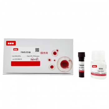 Propidium Iodide染色试剂盒