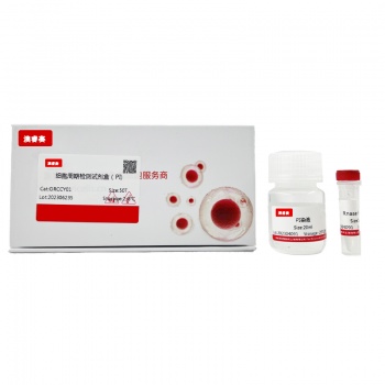 细胞周期检测试剂盒（PI）