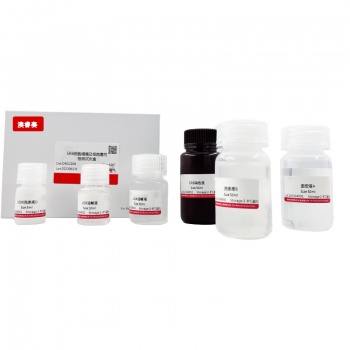 SRB细胞增殖及细胞毒性检测试剂盒