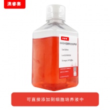 DMEM低糖完全培养基（含20%FBS）