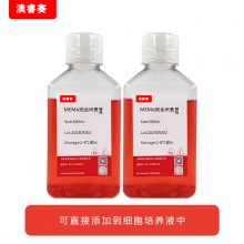 MEM&alpha;完全培养基（不含核苷，含20%FBS）