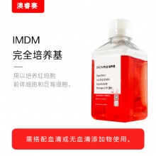 IMDM完全培养基（含10%FBS）