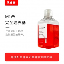 M199完全培养基（含10%FBS）