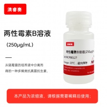 两性霉素B溶液（250&amp;mu;g/mL）