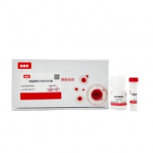 细胞膜电位检测试剂盒