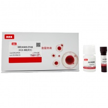 线粒体染色试剂盒-绿色荧光