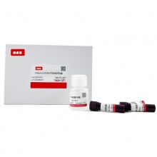 Hoechst33342/PI双染试剂盒