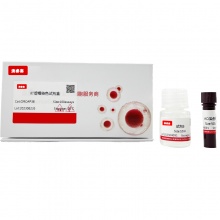 吖啶橙染色试剂盒