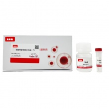 细胞周期检测试剂盒（PI）